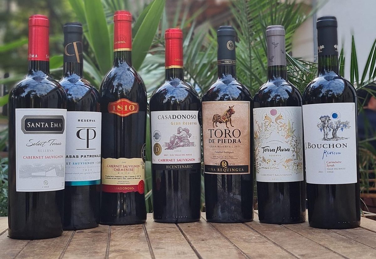 Selección de vinos tintos chilenos